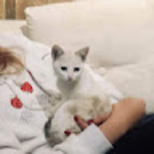 Meet your Posher, Chloe